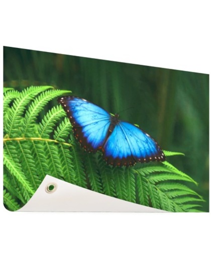 Morpho vlinder Tuinposter 60x40 cm - Foto op Tuinposter (tuin decoratie)