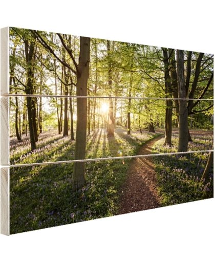 Een bospad op een zonnige dag Hout 30x20 cm - Foto print op Hout (Wanddecoratie)