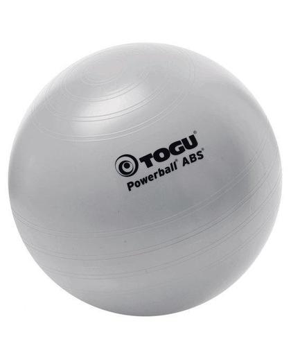 Togu Powerbal Fitnessbal - Ø 65 cm - Zilver
