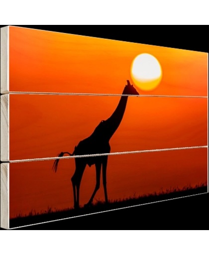 Giraffe bij zonsondergang Hout 120x80 cm - Foto print op Hout (Wanddecoratie)
