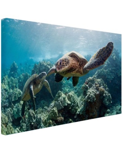Twee zeeschildpadden Canvas 30x20 cm - Foto print op Canvas schilderij (Wanddecoratie)