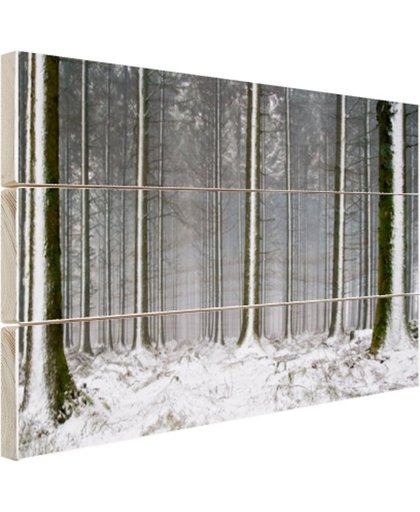 Besneeuwde bomen in de winter Hout 60x40 cm - Foto print op Hout (Wanddecoratie)