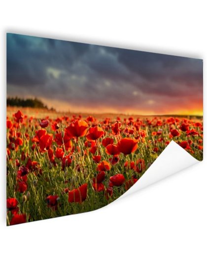 Klaprozen veld bij zonsondergang Poster 90x60 cm - Foto print op Poster (wanddecoratie)