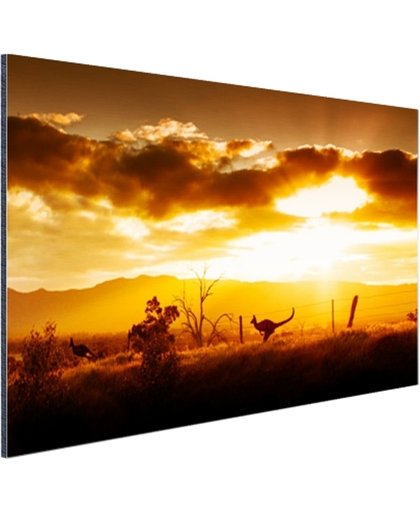 Kangoeroe bij zonsondergang Aluminium 60x40 cm - Foto print op Aluminium (metaal wanddecoratie)