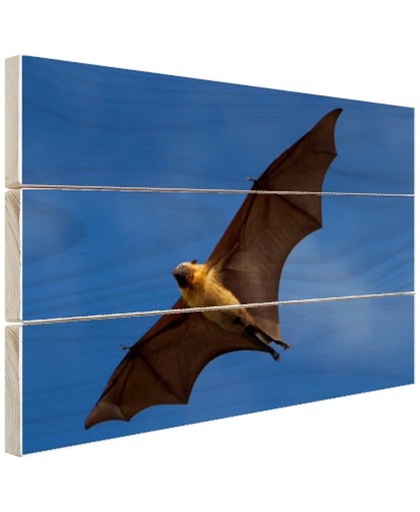Grote vleermuis in vlucht Hout 120x80 cm - Foto print op Hout (Wanddecoratie)