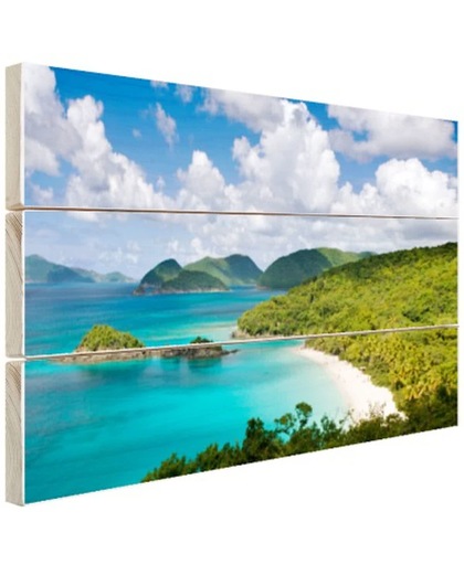 Caribische eilanden en stranden Hout 120x80 cm - Foto print op Hout (Wanddecoratie)