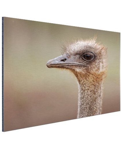 Portret struisvogel Aluminium 120x80 cm - Foto print op Aluminium (metaal wanddecoratie)