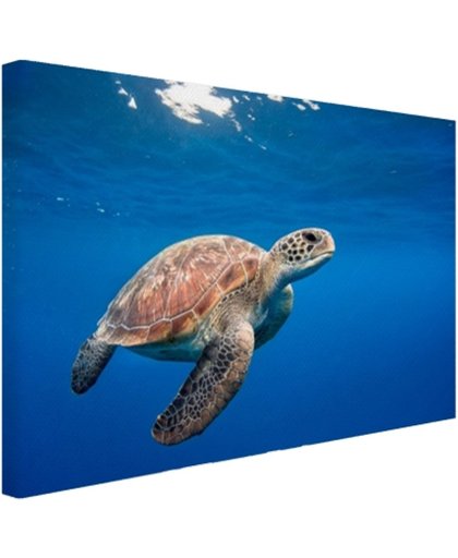 Schildpad in de oceaan Canvas 120x80 cm - Foto print op Canvas schilderij (Wanddecoratie)