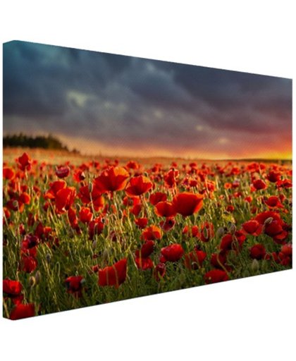 Klaprozen veld bij zonsondergang Canvas 80x60 cm - Foto print op Canvas schilderij (Wanddecoratie)