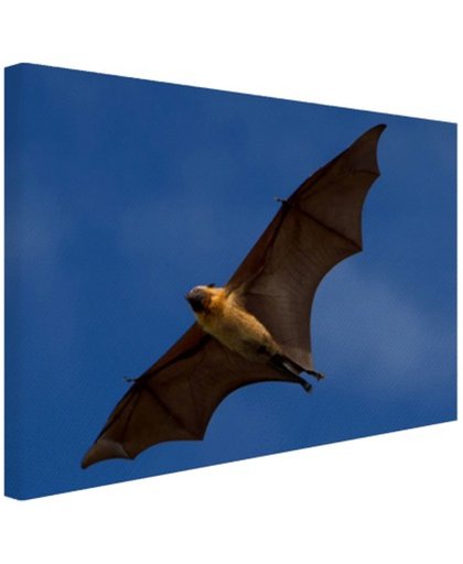 Grote vleermuis in vlucht Canvas 80x60 cm - Foto print op Canvas schilderij (Wanddecoratie)