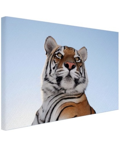 Stoere tijger blauwe lucht Canvas 30x20 cm - Foto print op Canvas schilderij (Wanddecoratie)