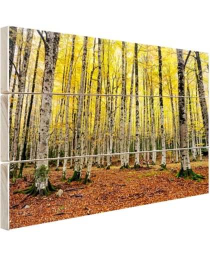 Gele bladeren in het bos in de herfst Hout 80x60 cm - Foto print op Hout (Wanddecoratie)