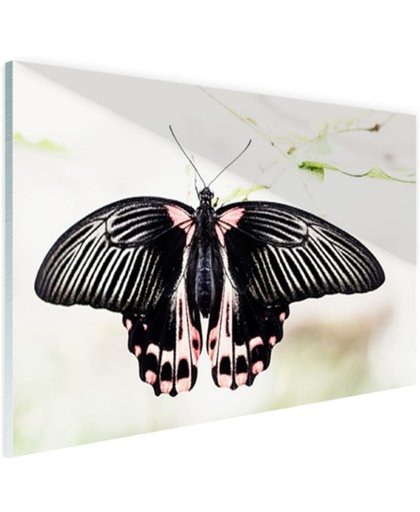 Zwart-roze vlinder Glas 90x60 cm - Foto print op Glas (Plexiglas wanddecoratie)