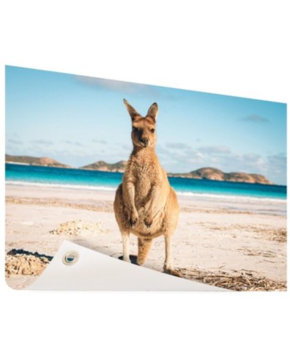 Kangoeroe op het strand Australie Tuinposter 200x100 cm - Foto op Tuinposter (tuin decoratie)