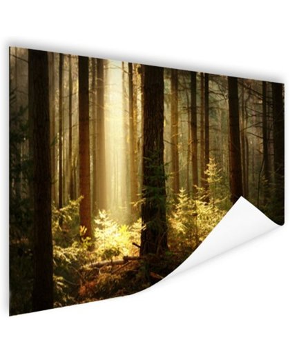 Bos met zonnestralen Poster 120x80 cm - Foto print op Poster (wanddecoratie)