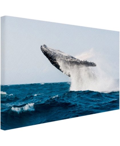 Walvis springt achterover in blauw water Canvas 80x60 cm - Foto print op Canvas schilderij (Wanddecoratie)