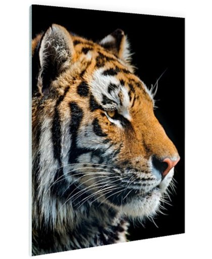 Portret Siberische tijger Glas 20x30 cm - Foto print op Glas (Plexiglas wanddecoratie)