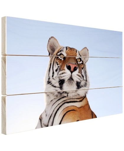 Stoere tijger blauwe lucht Hout 30x20 cm - Foto print op Hout (Wanddecoratie)