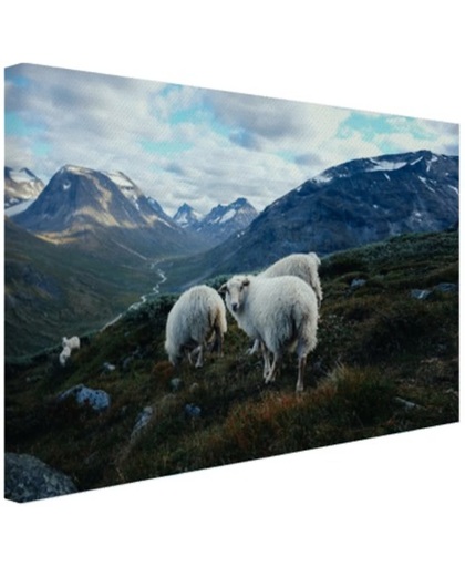 Familie portret schapen Canvas 30x20 cm - Foto print op Canvas schilderij (Wanddecoratie)