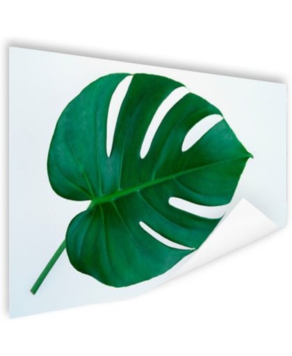 Botanische print van een gatenplant Poster 120x80 cm - Foto print op Poster (wanddecoratie)