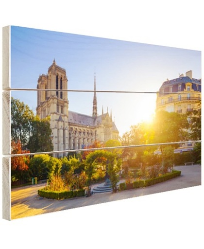 Notre Dame zonnige dag Hout 30x20 cm - Foto print op Hout (Wanddecoratie)