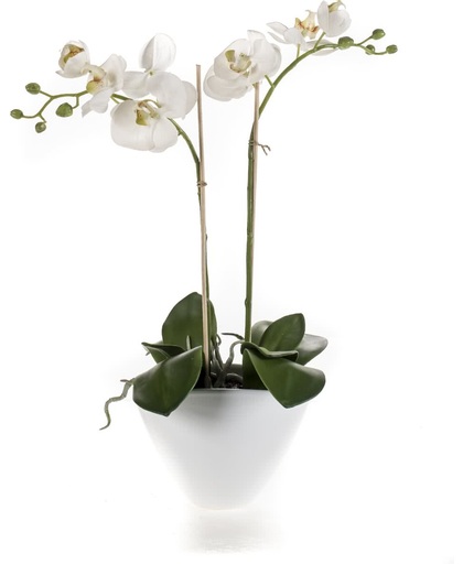 Emerald - Phalaenopsis - Orchidee - Kunstplant - In ovale aardewerk schaal - 45 cm - Wit