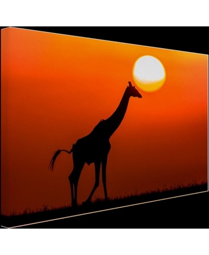 Giraffe bij zonsondergang Canvas 120x80 cm - Foto print op Canvas schilderij (Wanddecoratie)