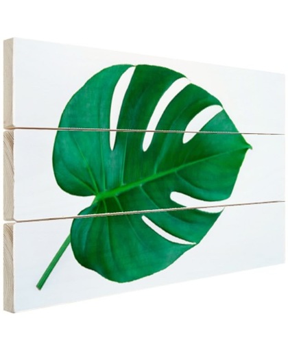 Botanische print van een gatenplant Hout 120x80 cm - Foto print op Hout (Wanddecoratie)