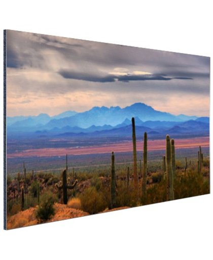 Sonoran woestijn Mexico Aluminium 30x20 cm - Foto print op Aluminium (metaal wanddecoratie)
