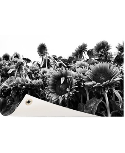 Zonnebloemen in Nederland zwart-wit Tuinposter 60x40 cm - Foto op Tuinposter (tuin decoratie)