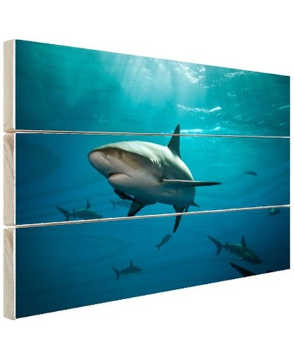 Groep haaien Hout 60x40 cm - Foto print op Hout (Wanddecoratie)