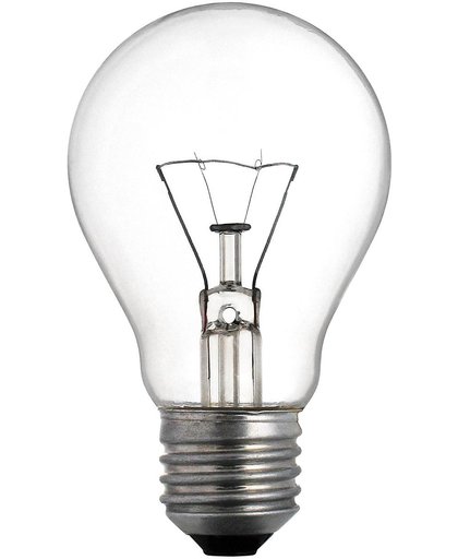 Standaardlamp Gloeilicht 220V 60W E27 helder per 10 stuks