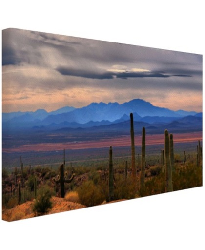 Sonoran woestijn Mexico Canvas 120x80 cm - Foto print op Canvas schilderij (Wanddecoratie)