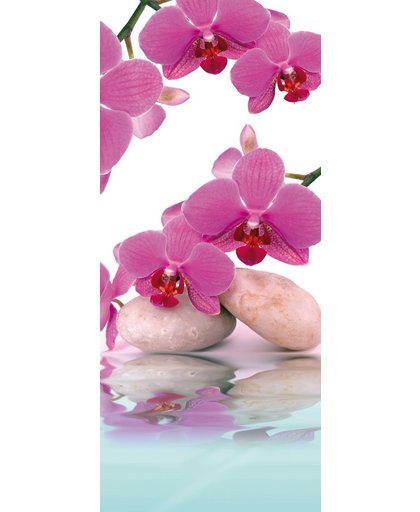 Deursticker Muursticker Orchidee, Bloemen | Roze, Paars | 91x211cm
