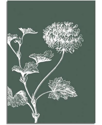 Vintage bloem blad poster Designclaud- Groen - Puur Natuur Botanical - Groen - B2 poster