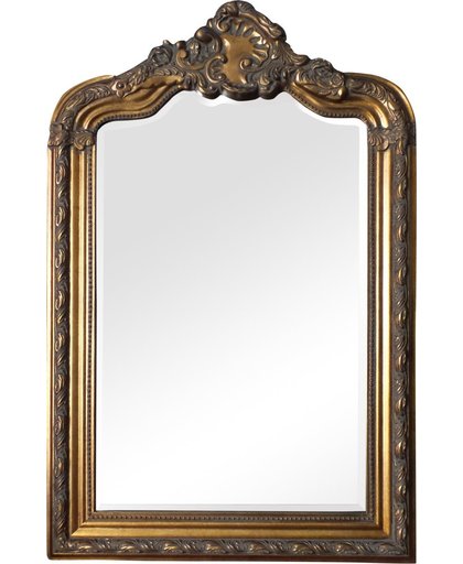 Spiegel - Louise- antiek goud - buitenmaten breed 78 cm x hoog 148 cm.