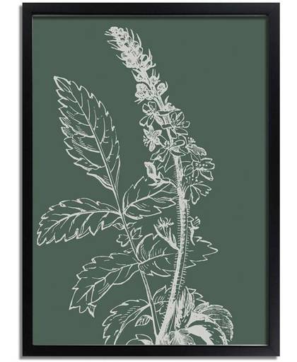 Vintage bloem blad poster Designclaud - Puur Natuur Botanical - Groen - A3 + Fotolijst zwart