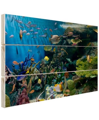 Levendige onderwaterwereld Hout 80x60 cm - Foto print op Hout (Wanddecoratie)