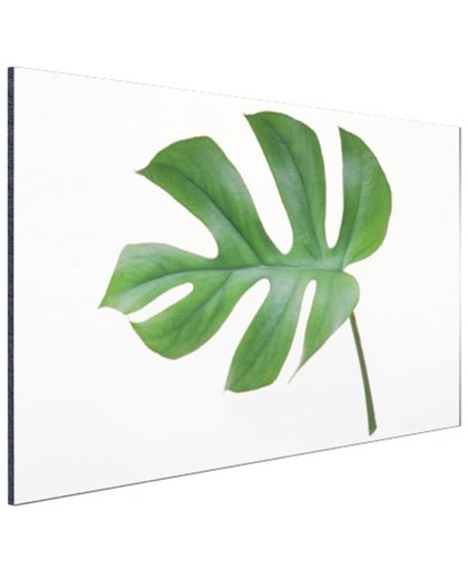 Botanische print blad Aluminium 60x40 cm - Foto print op Aluminium (metaal wanddecoratie)