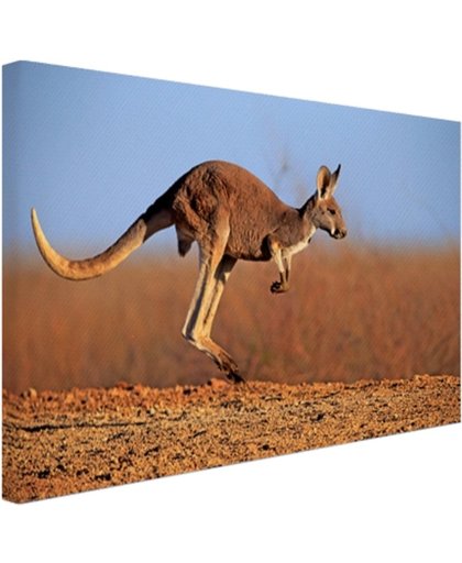 Actiefoto van kangoeroe Canvas 120x80 cm - Foto print op Canvas schilderij (Wanddecoratie)