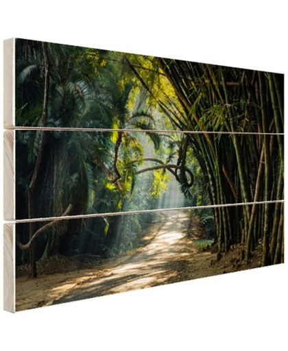 Rijen bamboe in Azie Hout 30x20 cm - Foto print op Hout (Wanddecoratie)