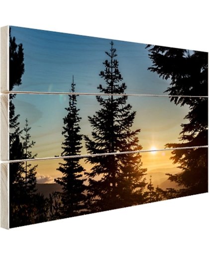 Zonsopkomst nationaal bos Hout 60x40 cm - Foto print op Hout (Wanddecoratie)