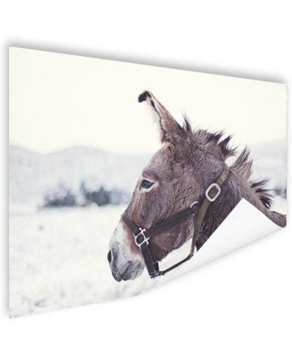 Ezel in de sneeuw Poster 120x80 cm - Foto print op Poster (wanddecoratie)
