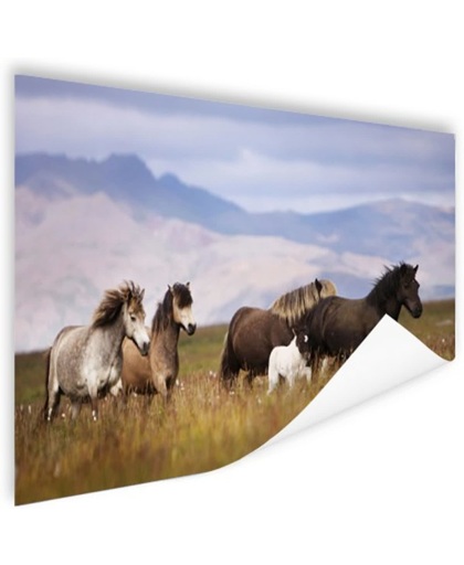 Paarden in de bergen Poster 60x40 cm - Foto print op Poster (wanddecoratie)