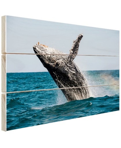 Springende walvis met regenboog Hout 30x20 cm - Foto print op Hout (Wanddecoratie)