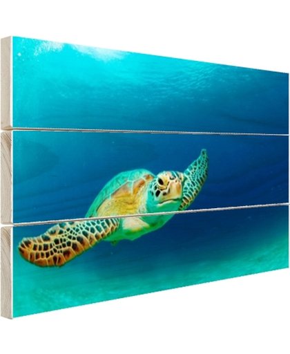 Close-up foto van groene zeeschildpad Hout 80x60 cm - Foto print op Hout (Wanddecoratie)