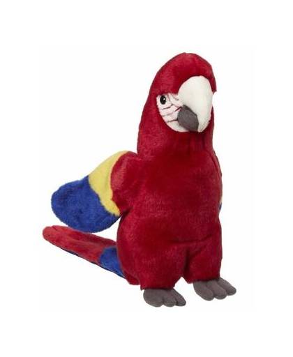 Pluche papegaai rood 21 cm