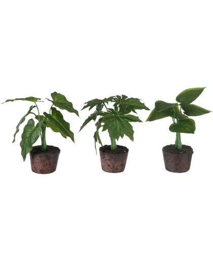 Kunstplant Philodendron set van 3 25cm