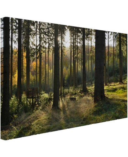 Een bosrijke omgeving op zonnige dag Canvas 120x80 cm - Foto print op Canvas schilderij (Wanddecoratie)