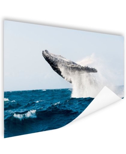 Walvis springt achterover in blauw water Poster 150x75 cm - Foto print op Poster (wanddecoratie)